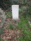 image of grave number 445818